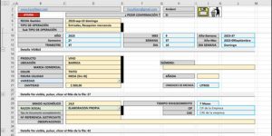 Crear un CRM en Excel a Medida para Pequeñas Empresas y Grandes Empresas